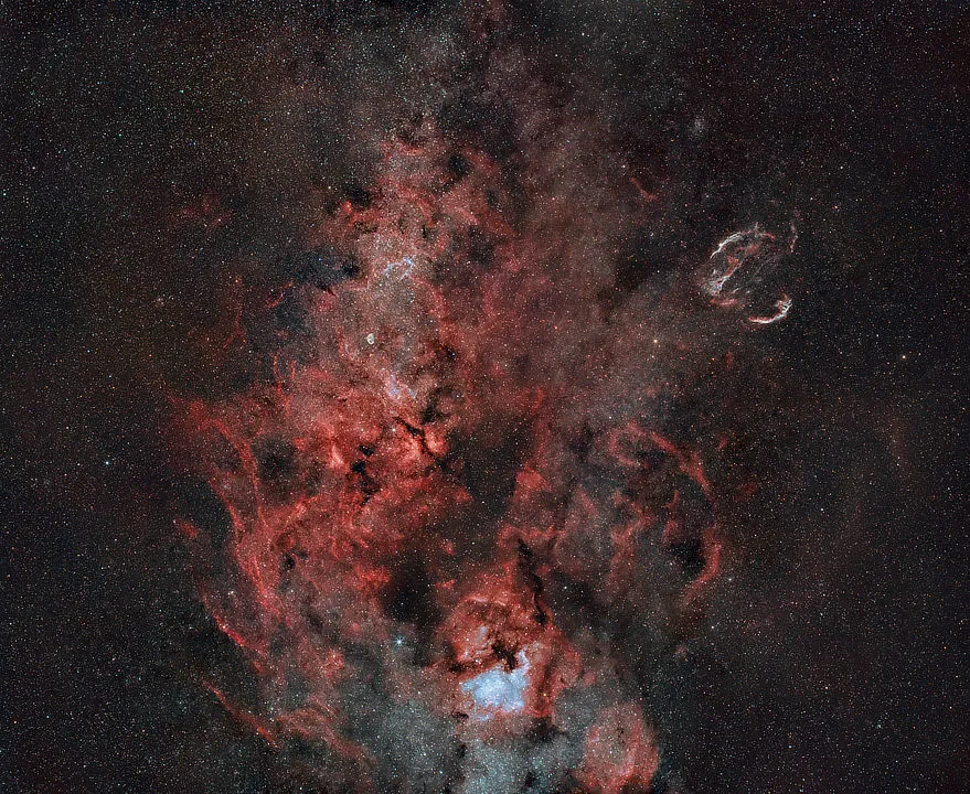 The Cygnus constellation Jeffrey Horne, Nashville, USA, June 2020 and August 2021 Equipment: ZWO ASI2600MC Pro camera, Canon 50mm USM 1.4 lens, Sky-Watcher EQ6R-Pro mount