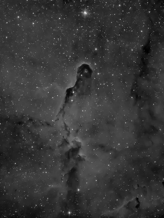 The Elephant’s Trunk Nebula in hydrogen alpha Michael Bate, Milton Keynes, 28 August 2021 Equipment: ZWO ASI1600MM camera, Sky-Watcher 200PDS Newtonian, Sky-Watcher HEQ5 Pro mount