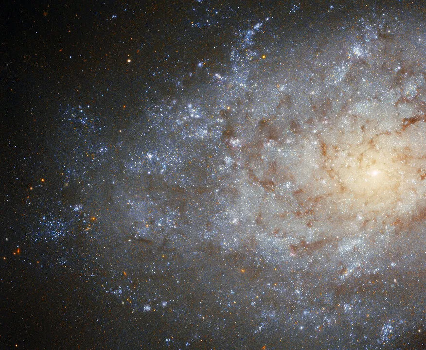 Flocculent galaxy NGC 7793 GEMINI OBSERVATORY, 8 SEPTEMBER 2021 IMAGE CREDIT: International Gemini Observatory/NOIRLab/NSF/AURA Acknowledgment: T.A. Rector (University of Alaska Anchorage/NSF’s NOIRLab), J. Miller (Gemini Observatory/NSF’s NOIRLab), M. Zamani & D. de Martin (NSF’s NOIRLab)