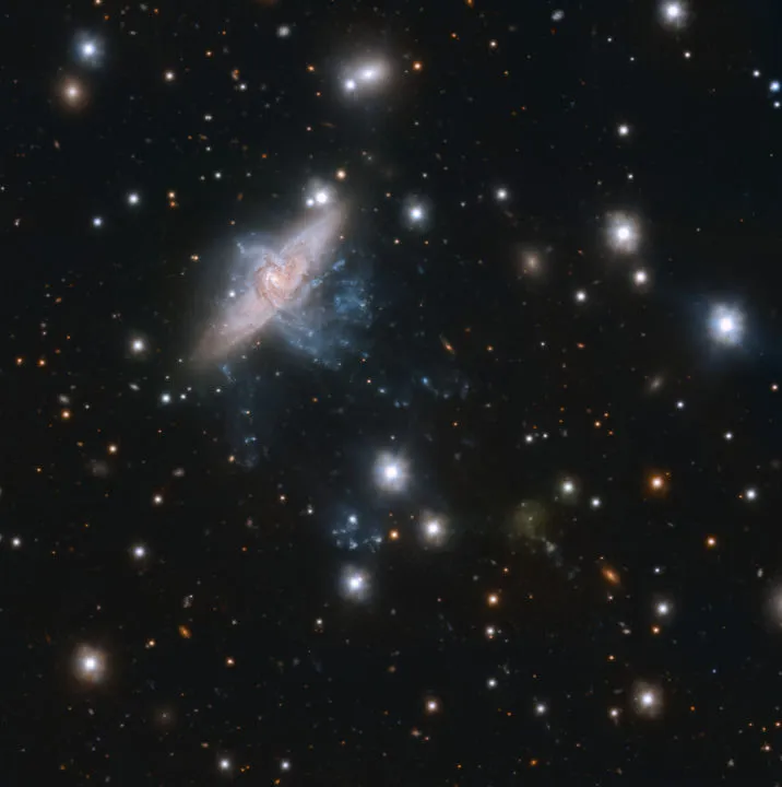 Overlapping spiral galaxies NGC 3314a and b VERY LARGE TELESCOPE, 8 NOVEMBER 2021 Credit: ESO/Iodice et al.