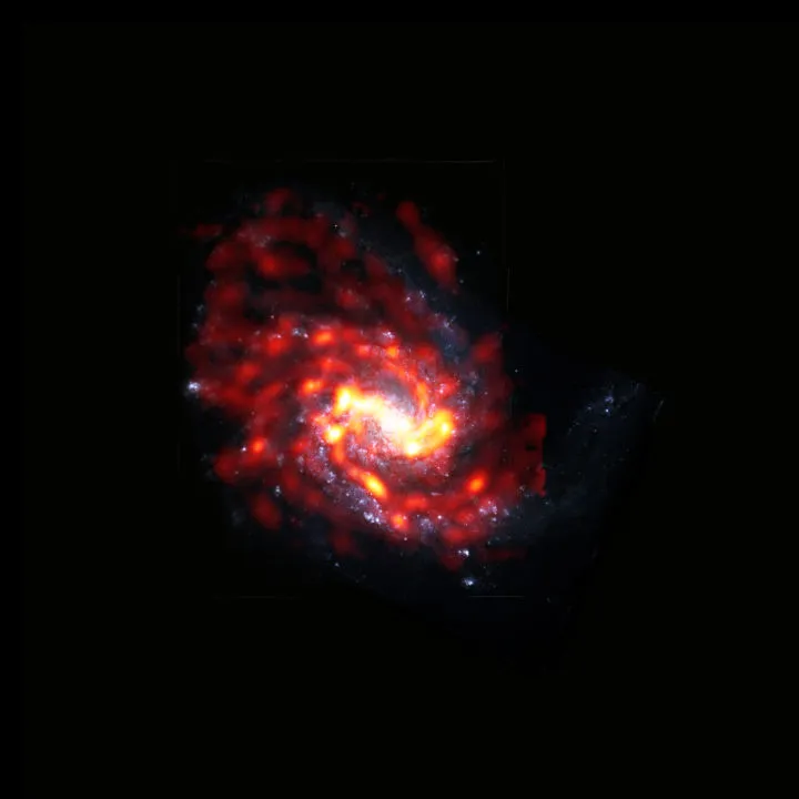 Spiral galaxy NGC 4254 in the Virgo Cluster ALMA/HUBBLE SPACE TELESCOPE, 2 NOVEMBER 2021 Credit: ALMA (ESO/NAOJ/NRAO)/S. Dagnello (NRAO)
