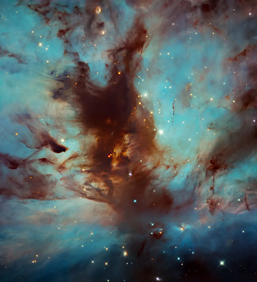 Swirls of dust in the Flame Nebula HUBBLE SPACE TELESCOPE, 22 NOVEMBER 2021 IMAGE CREDIT: NASA, ESA, and N. Da Rio (University of Virginia); Processing: Gladys Kober (NASA/Catholic University of America)