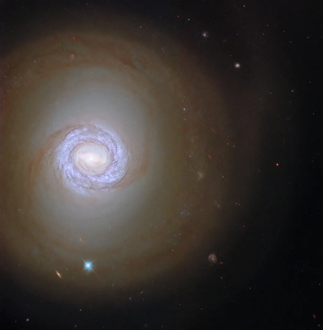 Spiral galaxy NGC 1317 in the constellation Fornax HUBBLE SPACE TELESCOPE, 29 NOVEMBER 2021 IMAGE CREDIT: ESA/Hubble & NASA, J. Lee and the PHANGS-HST Team