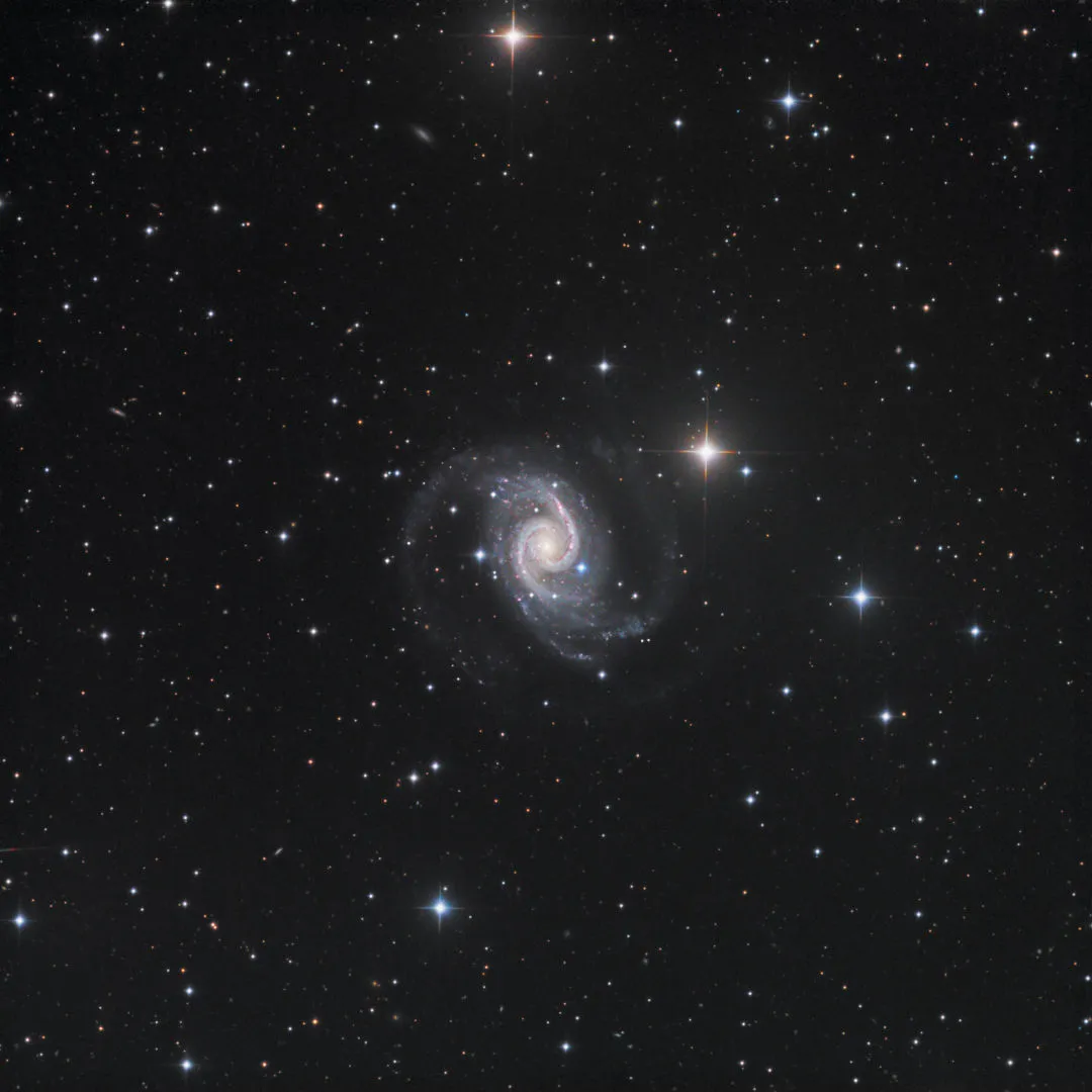 Spiral galaxy NGC 1566 Dan Crowson, remotely via El Sauce Observatory, Rio Hurtado, Chile, 23–30 November 2021 Equipment: FLI PL9000 camera, PlaneWave CDK24 astrograph, Mathis MI-1000 mount