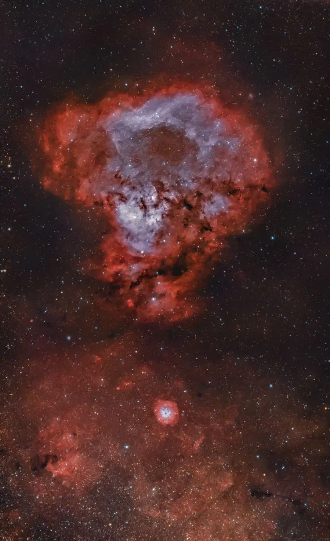 Cosmic question mark (NGC 7822) Jeffrey Horne, Nashville, Tennessee, USA, 1–9 November 2021 Equipment: ZWO ASI2600MC Pro camera, TPO UltraWide 180 refractor, Sky-Watcher EQ6-R Pro mount