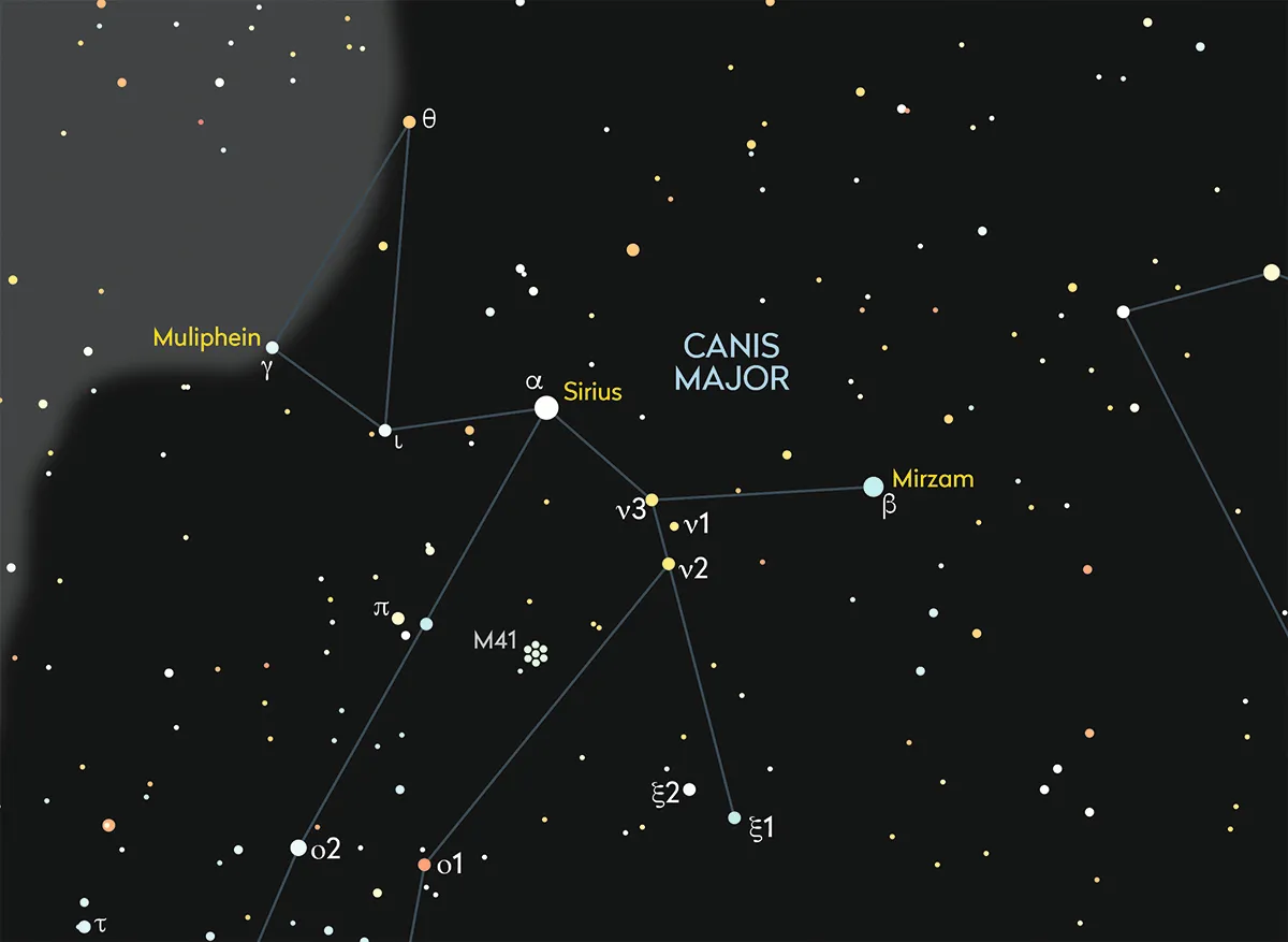 Chart showing the positions of Sirus and Mirzam in Canis Major. Credit: Pete Lawrence