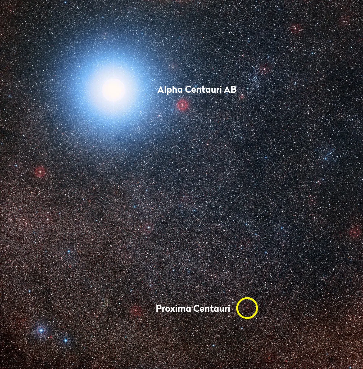 Image of the sky showing the positions of Alpha Centauri AB and Proxima Centauri. Credit: Digitized Sky Survey 2 Acknowledgement: Davide De Martin/Mahdi Zamani