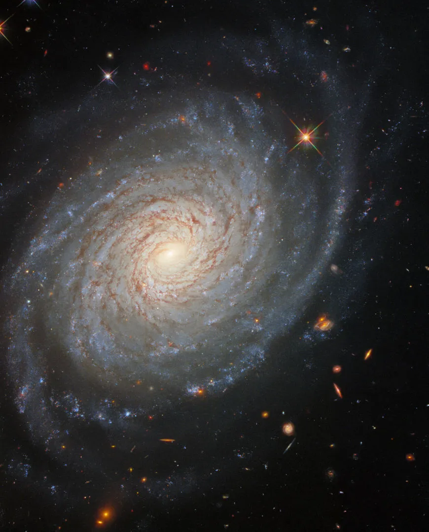 Spiral galaxy NGC 976 HUBBLE SPACE TELESCOPE, 10 JANUARY 2022 IMAGE CREDIT: ESA/Hubble & NASA, D. Jones, A. Riess et al.