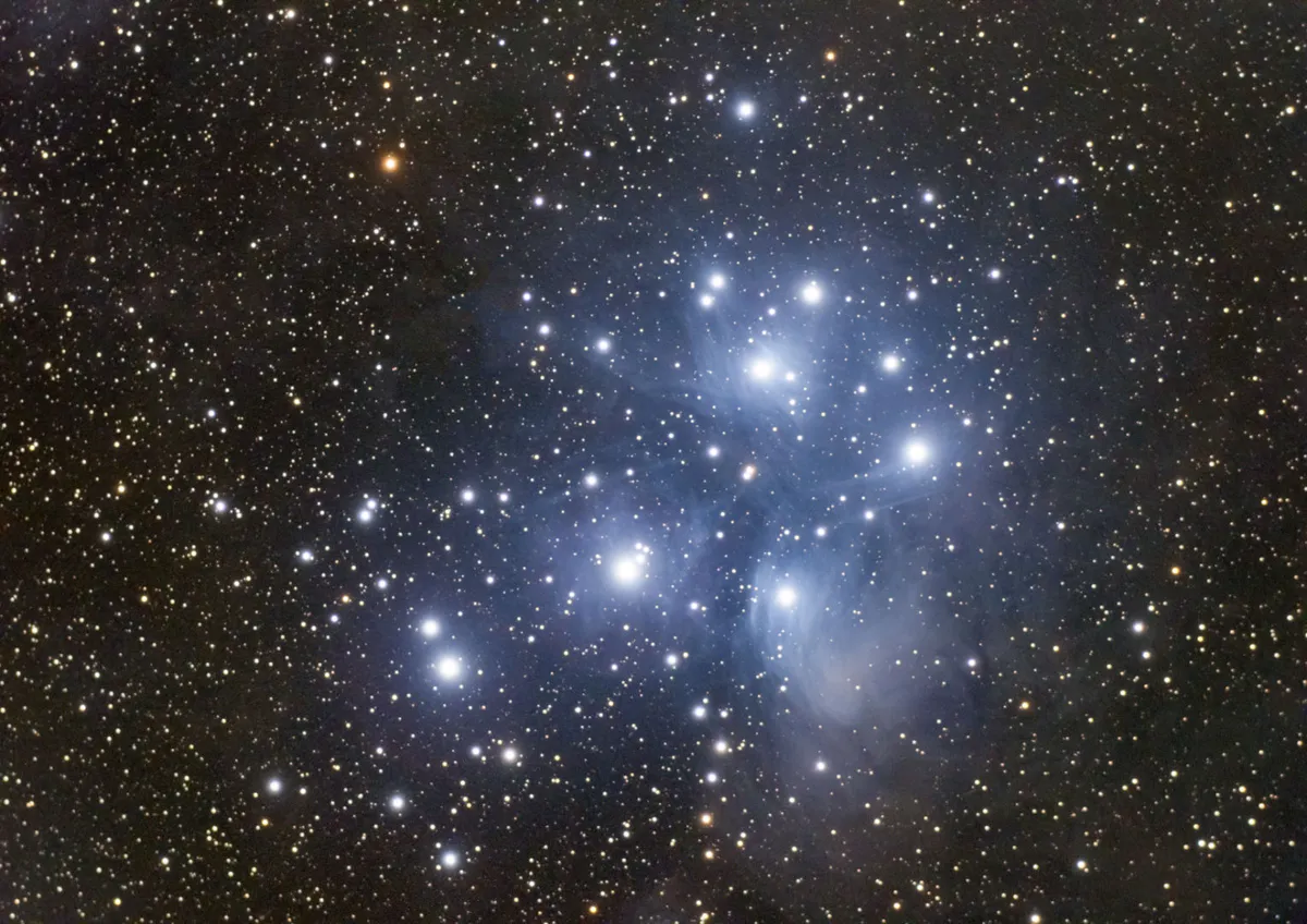The winter stars of the Pleiades. Credit: Vicki Pink