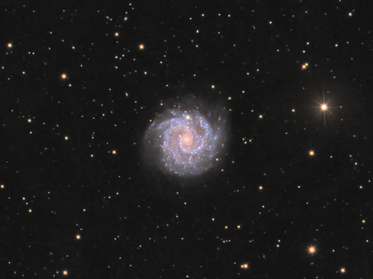 NGC 3184 Ron Brecher, Guelph, Ontario, Canada, 9 January 2022 Equipment: QHY600M camera, Sky-Watcher Esprit 150ED refractor, Paramount MX mount