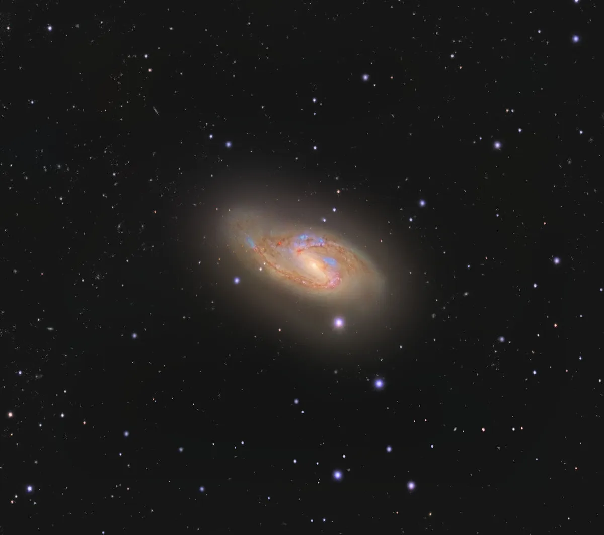 Galaxy M66