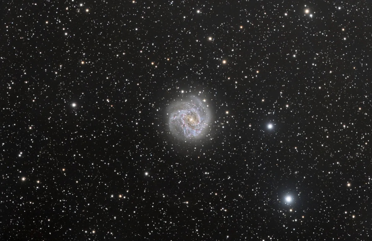 The Southern Pinwheel Galaxy Jason Matter, Okeechobee, Florida, USA, 28 February–6 March 2022 Equipment: ZWO ASI2600MM Pro camera, Stellarvue SVA130T refractor, Astro-Physics 1200GTO mount