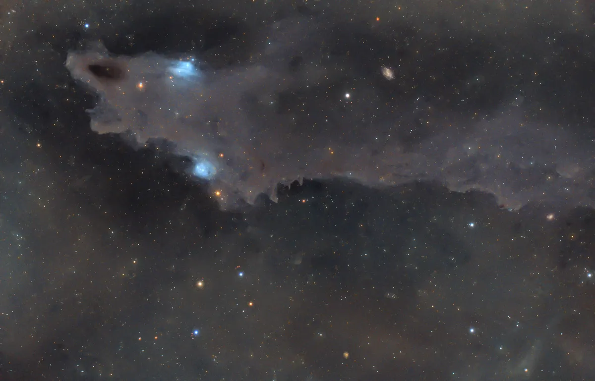 The Dark Shark Nebula, LDN1235 Catalin Cosar, Henlow, Bedfordshire, 22–28 February 2022 Equipment: QHY 268C and QHY 268M cameras, Takahashi FSQ-85EDX refractor, Sky-Watcher EQ8 Pro mount 