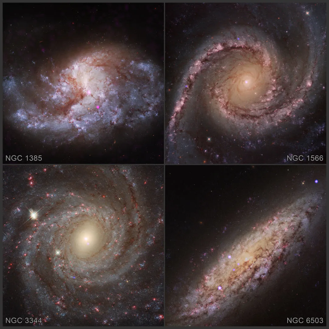 Galaxies where black holes found to be consuming thousands of nearby star clusters CHANDRA X-RAY OBSERVATORY, HUBBLE SPACE TELESCOPE, 20 APRIL 2022 IMAGE CREDIT: X-ray: NASA/CXC/Washington State Univ./V. Baldassare et al.; Optical: NASA/ESA/STScI