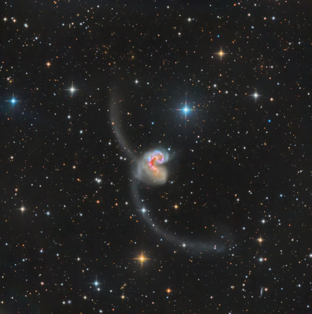 The Antennae Galaxies Basudeb Chakrabarti, via Telescope Live, Hurtado Valley, Chile, 13 March 2022 Equipment: FLI PL 9000 camera, Planewave CDK24 astrograph, Mathis MI-1000 mount
