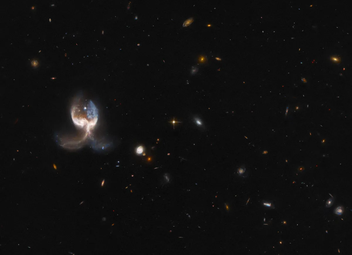 The Angel Wing, two merging galaxies in the VV689 system HUBBLE SPACE TELESCOPE, 18 April 2022 CREDIT: ESA/Hubble & NASA, W. Keel. Acknowledgement: J. Schmidt
