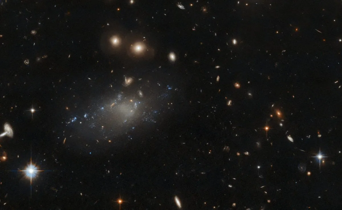 Ultra-diffuse galaxy GAMA 526784, as seen by the Hubble Space Telescope. Credit: ESA/Hubble & NASA, R. van der Burg., L. Shatz