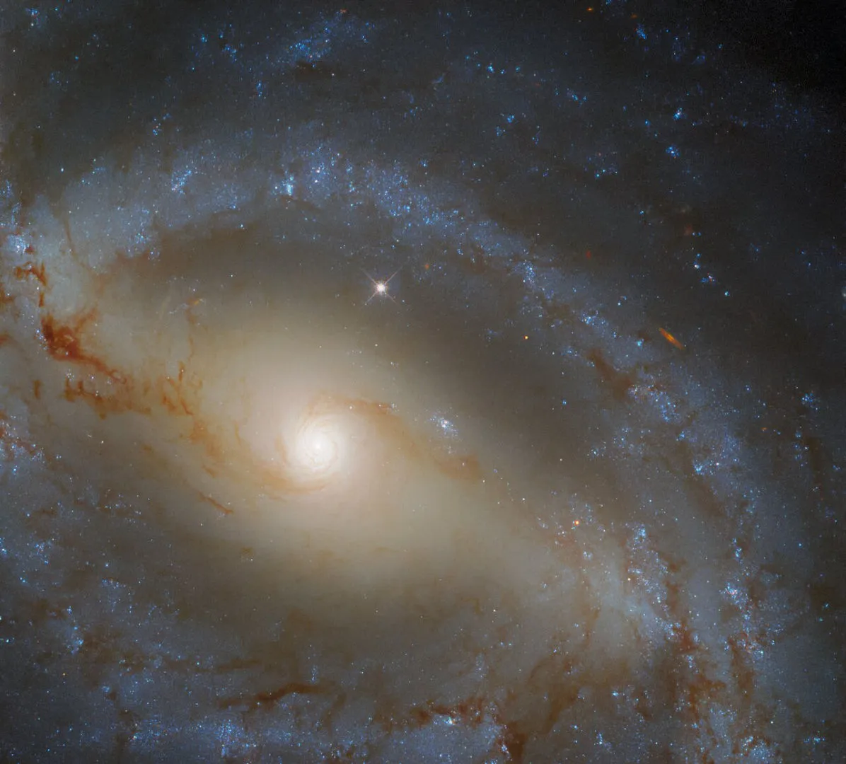 Spiral galaxy NGC 5921 HUBBLE SPACE TELESCOPE, 4 APRIL 2022 IMAGE CREDIT: ESA/Hubble & NASA, J. Walsh Acknowledgement: R. Colombari