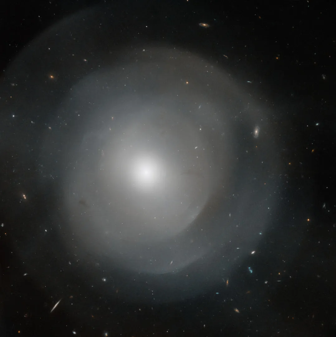 Centre of gigantic elliptical galaxy NGC 474 HUBBLE SPACE TELESCOPE, 18 MAY 2022 IMAGE CREDIT: NASA, ESA, D. Carter (Liverpool John Moores University), DSS; Image processing: G. Kober (NASA Goddard/Catholic University of America)