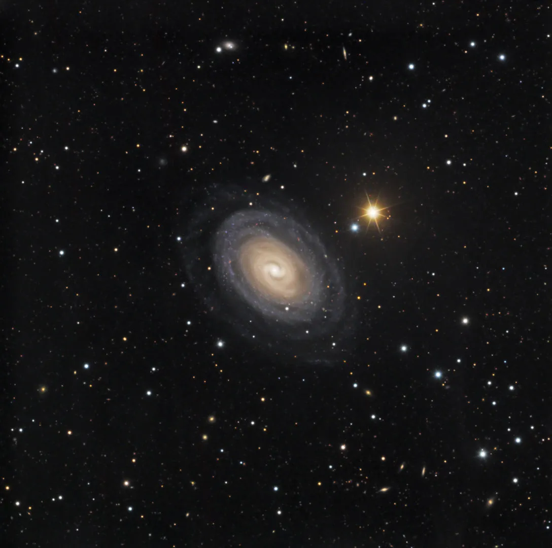 NGC 1367 Warren Keller and Mike Selby, El Sauce Observatory, Rio Hurtado, Chile, 5–7 November 2021 Equipment: FLI Proline 16803 camera, PlaneWave PW1000 and CDK700 Nasmyth astrographs 