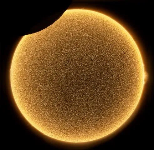 Partial Eclipse of the Sun in H-alpha by Alessandro Ravagnin, Romano d'Ezzelino, Veneto, Italy. Category: Our Sun. Equipment: QHYCCD QHYCCD183C camera, using a cooled Canon 200 mm f/4 with a Daystar Quark Prominence lens.