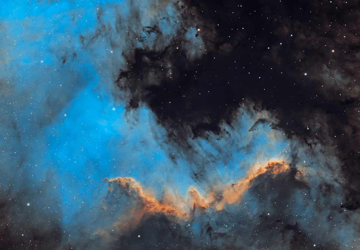 The Cygnus Wall, by Larry Byrge, Jacksonboro, Tennessee, USA, 29 May 2022. Equipment: ZWO ASI294MC Pro Imaging Camera, Explore Scientific ED102 Apo Refractor, EQ6-R mount.