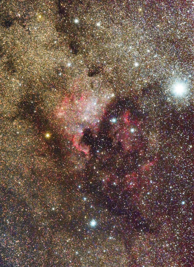 The North America Nebula, by Christopher Kelly-Brown, Strabane, Northern Ireland, 31 May 2022. Equipment: Nikon D5300 camera, Soligor 135mm lens at f/5.6, Sky-Watcher Star Adventurer mount