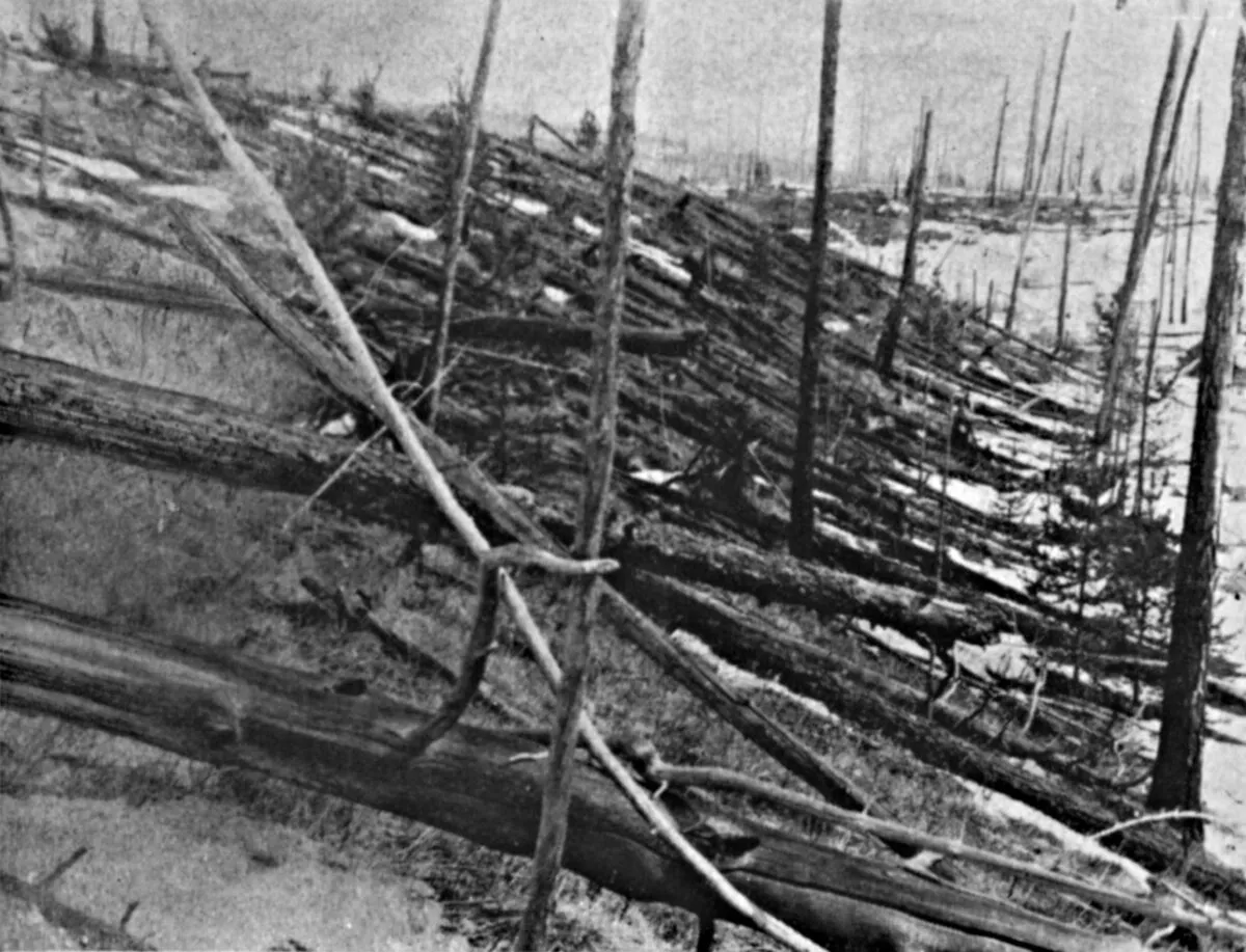 Trees felled during the Tunguska Event, or Tunguska Explosion, 30 June 1908, near the Podkamennaya, Tunguska River, Krasnoyarsk Krai, Russia. Photo by Universal History Archive/Getty Images