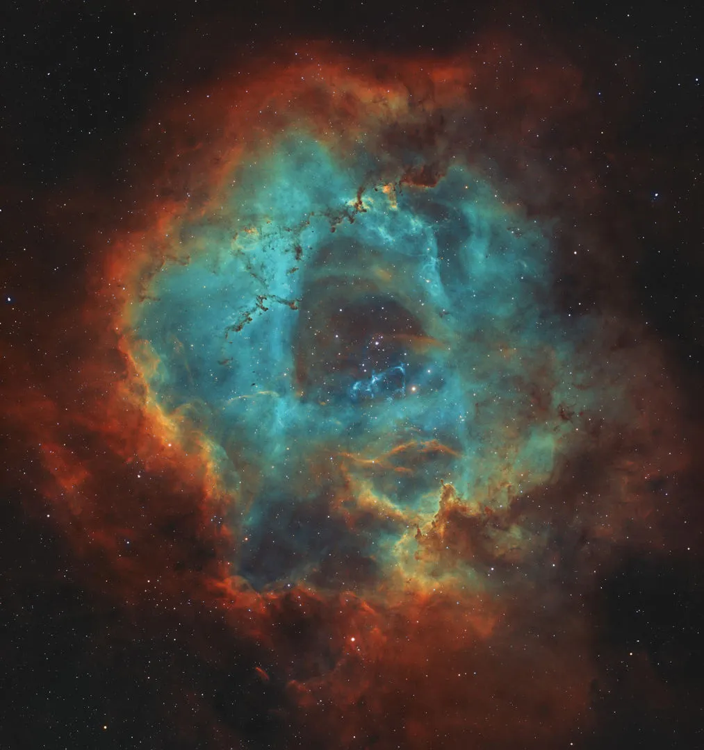A Rainbow Rose © Saahil Sinha, Santa Ana, California, USA, 5 January 2022. Highly Commended, Young Astronomy Photographer of the Year, APY 14. Equipment: CFF Telescopes CFF92 F/6 telescope, Antlia 3-nm H-alpha, OIII and SII filters, SkyWatcher EQ6-R Pro mount, QHYCCD QHY163M camera, 441 mm f/4.8, 6 hours total exposure 