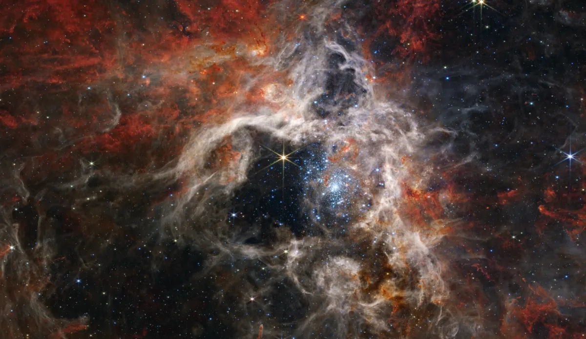 A James Webb Space Telescope image of the Tarantula Nebula, captured using the NIR-Cam. Credits: NASA, ESA, CSA, STScI, Webb ERO Production Team