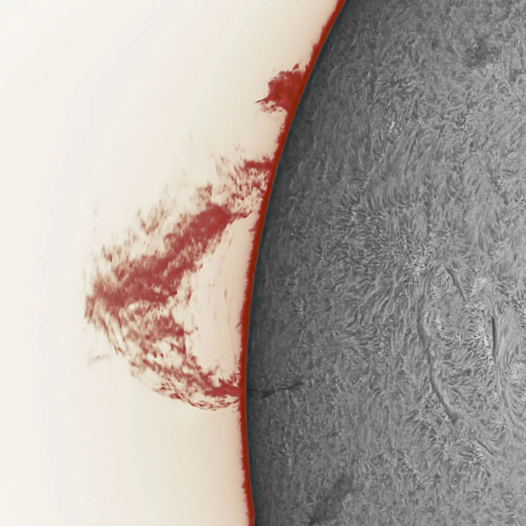 Solar prominence in red Kevin Earp, Bedfordshire, UK, August 4 2022. Equipment: ASI 174MM camera, SkyWatcher Esprit 100 apochromatic triplet with Daystar Quark Chromosphere eyepiece. NEQ6 Pro mount