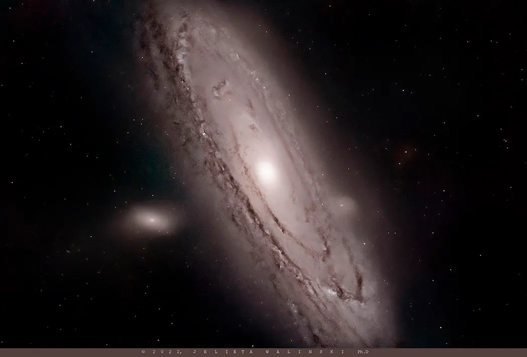 Andromeda galaxy Jelieta Walinski, Medicine Rock State Park, MT, USA, August 1 2022 Equipment: ZWO ASI2600MCPRO camera, Celestron Nexstar Evolution 9.25 235mm f/10 Schmidth Cassegrain, Sky Watcher EQ-6R PRO mount