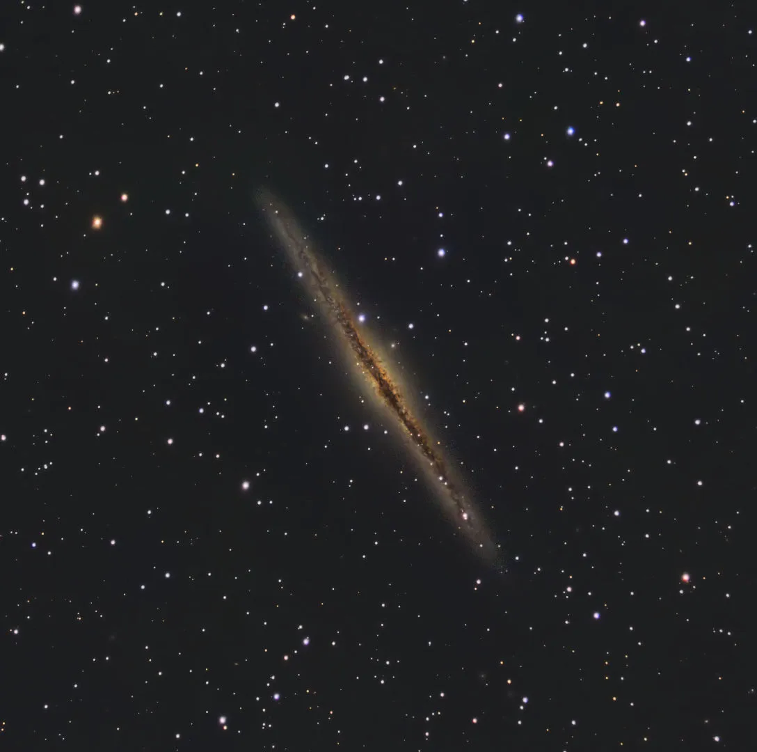 NGC 891, the Silver Sliver Galaxy Mark Shelton, Birmingham, UK, August 29 2022 Equipment: ASI6200 MM pro camera, Celestron C14 Edge reflector, Paramount MX  mount