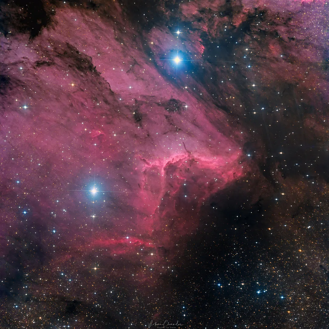 The Pelican Nebula Vikas Chander, remotely via Insight Observatory, New Mexico, USA, 4 – 8 May 2022 Equipment: FLI Proline 16803 CCD camera, Dreamscope 16-inch f/3.7 Astrograph Reflector, Software Bisque Paramount ME