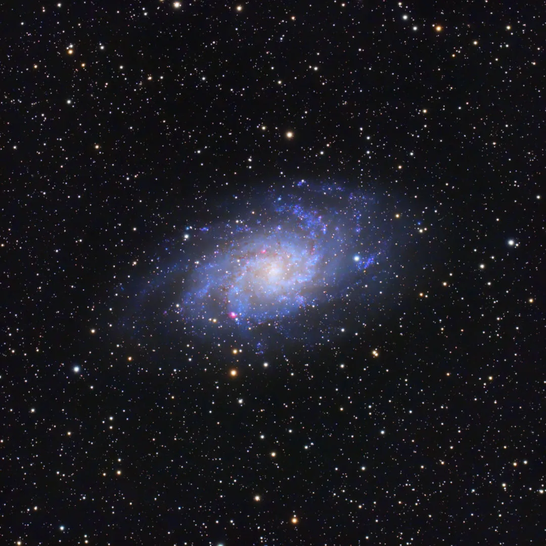 The Triangulum Galaxy. Credit: Aidan Guerra