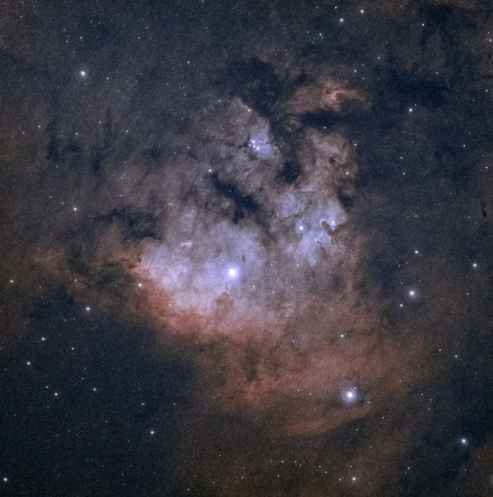 NGC 7822 Paul Edwards, Liverpool, UK, October 2022. Equipment: ZWO ASI533MC Pro camera, William Optics Zenithstar 73 telescope, Sky-Watcher HEQ5 Pro mount