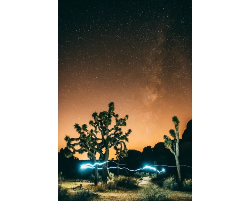 Light trails created by a headlamp in front of the night sky in Joshua Tree National Park, California. Equipment: Canon EOS 5D Mark III with a Canon EF 24-70mm f/2.8L II USM lens at 24mm, 30 sec, f/2.8 and ISO1600. Credit: Valtteri Hirvonen
