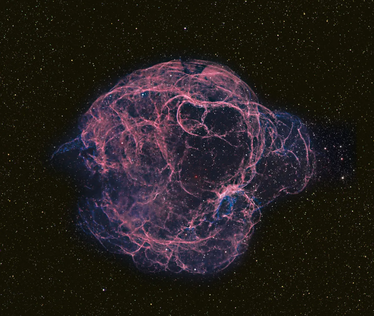 The Spaghetti Nebula, Michael P. Caligiuri, Anza Borrego Desert, California, 25-26 November 2022 Equipment: ZWO ASI 294 camera, Samyang 135mm f/1.8 lens at f/4, Astro-Physics AP1100 equatorial mount.