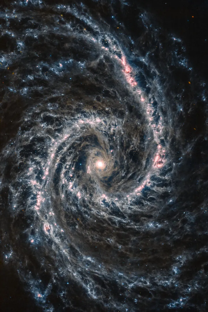 Credit: NASA / ESA / CSA / Judy Schmidt NGC 1566, the Spanish Dancer Galaxy James Webb Space Telescope, 25 November 2022