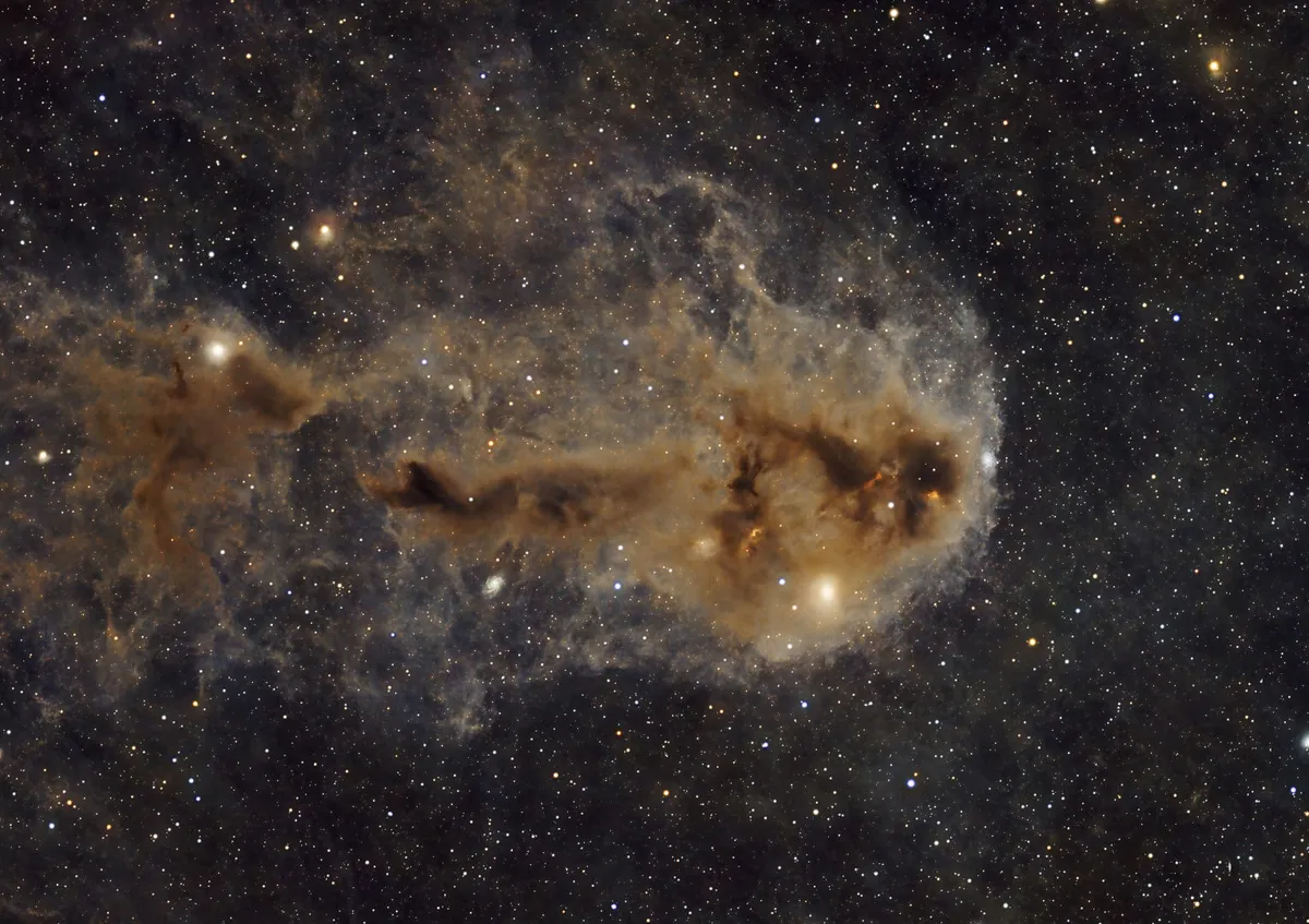 LDN1251, The Rotten Fish Nebula, Dan Kuchta, Brockport, NY, USA, October 2022 Equipment: ZWO ASI 2600MC Pro camera, Sky-Watcher Esprit 100 refractor, iOptron CEM120 equatorial mount