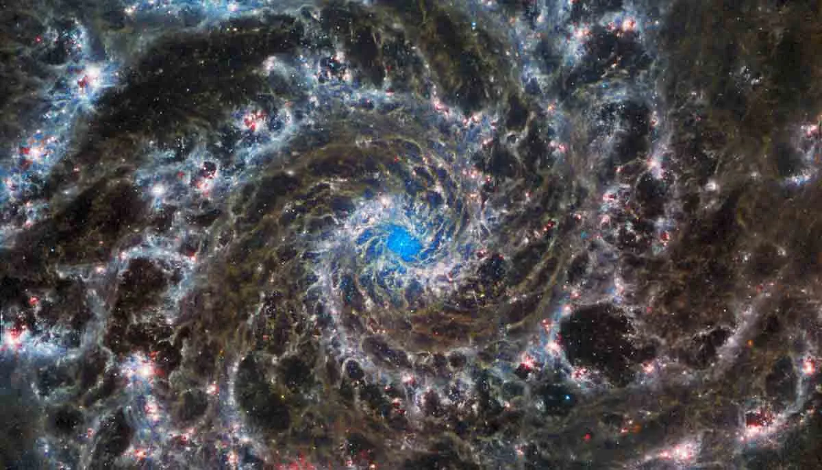 Galaxy M74, one of 19 galaxies studied by the Physics at High Angular resolution in Nearby Galaxies (PHANGS) collaboration, observed by James Webb Space Telescope’s Mid-Infrared Instrument (MIRI). Credit: NASA, ESA, CSA, and J. Lee (NOIRLab), A. Pagan (STScI)