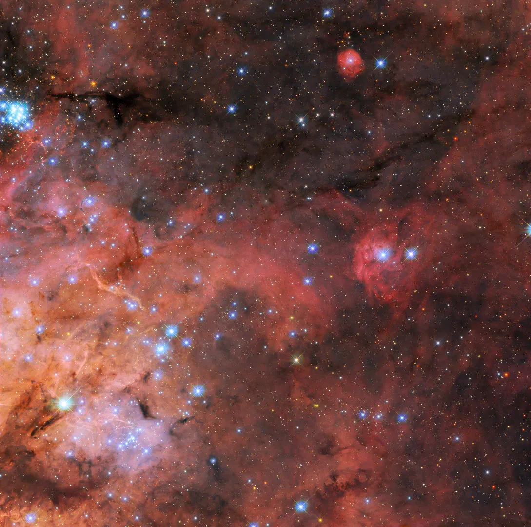 The Tarantula Nebula Hubble Space Telescope, 3 February 2023