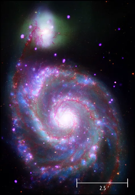 A GALEX ultraviolet image of the Whirlpool Galaxy. Credit: NASA/JPL-Caltech