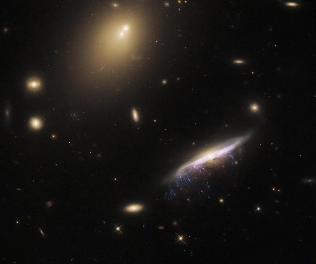 Jellyfish galaxy JW100 Hubble Space Telescope, 20 March 2023 