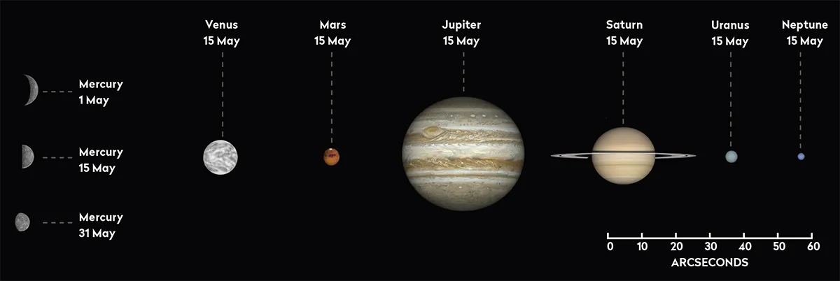 The phase and relative sizes of the planets this month. Each planet is shown with south at the top, to show its orientation through a telescope. Credit: Pete Lawrence