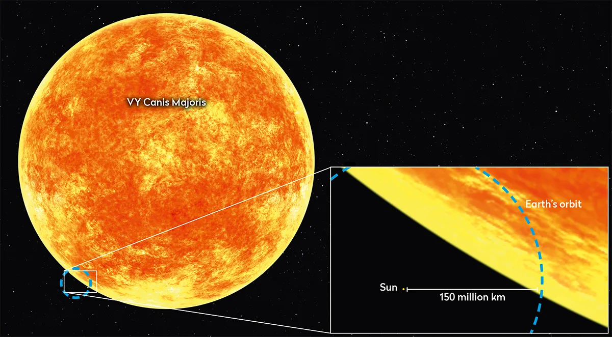 Illustration showing how big VY Canis Majoris is compared to Earth's orbit.