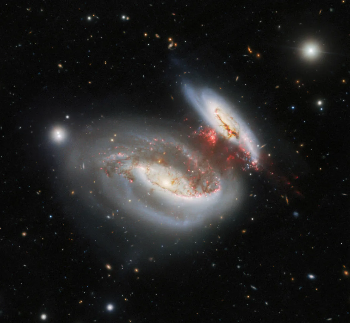 Taffy Galaxies collide International Gemini Observatory, 29 March 2023 Credit: International Gemini Observatory/NOIRLab/NSF/AURA Image Processing: M. Rodriguez (NSF’s NOIRLab), T.A. Rector (University of Alaska Anchorage/NSF’s NOIRLab), J. Miller (Gemini Observatory/NSF’s NOIRLab), M. Zamani (NSF’s NOIRLab) & D. de Martin (NSF’s NOIRLab) Acknowledgment: PI: A. S. Castelli (Universidad Nacional de la Plata)