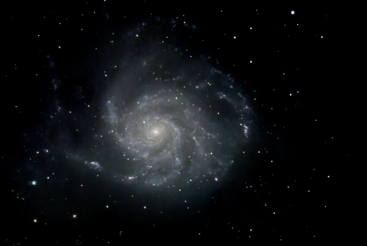 Jane Clark's image of the Pinwheel Galaxy before the appearance of SN 2023ixf.