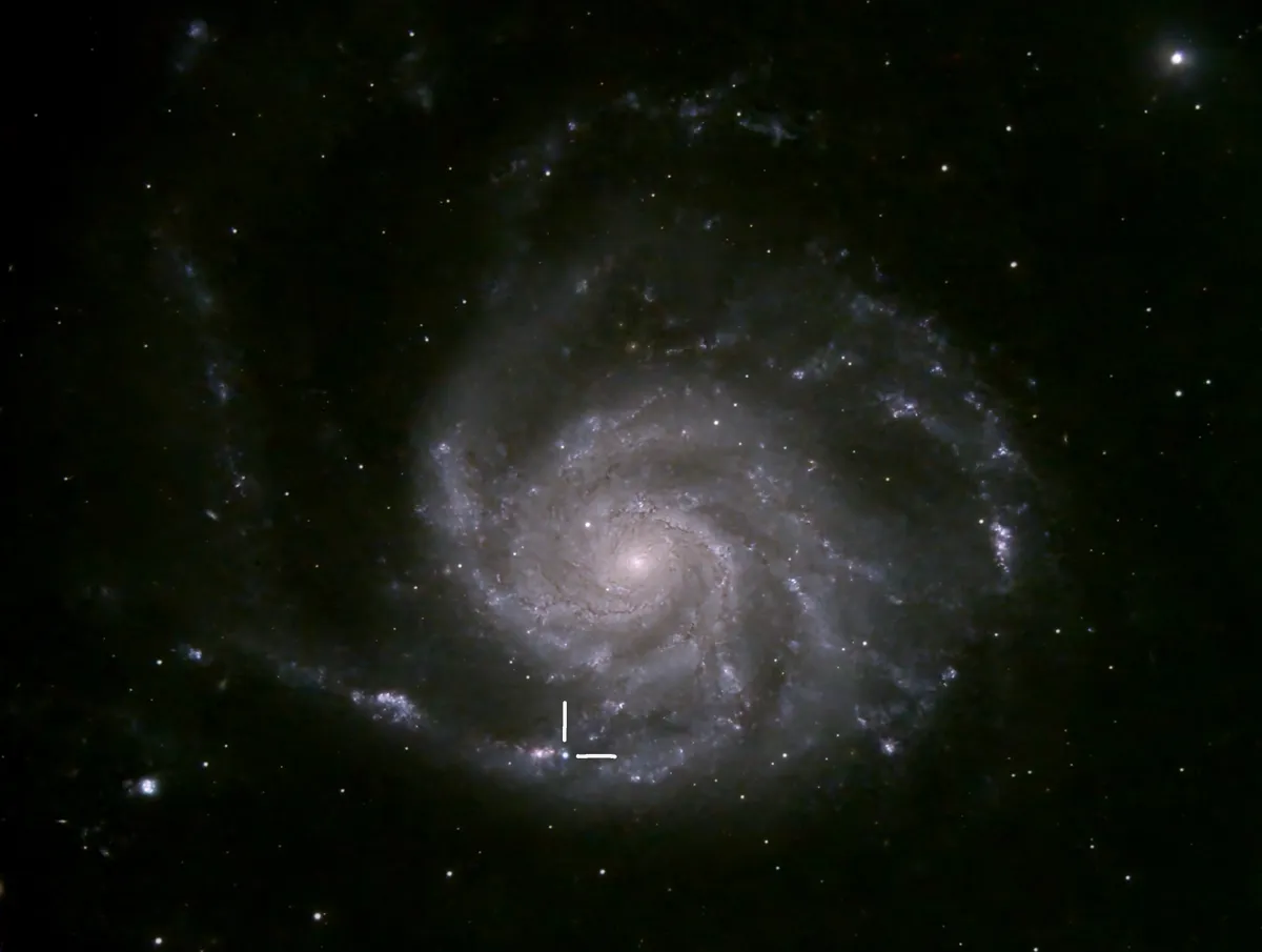 A view of galaxy M101 with SN2023ixf, captured by Jane Clark from Risca, Wales, 21 May 2023. Equipment: ZWO ASI2600MC camera, Celestron 11-inch SCT, CGX mount, f/6.3 focal reducer. Software: SharpCap 4.0, Siril 1.0.6, PixInsight, Gimp.