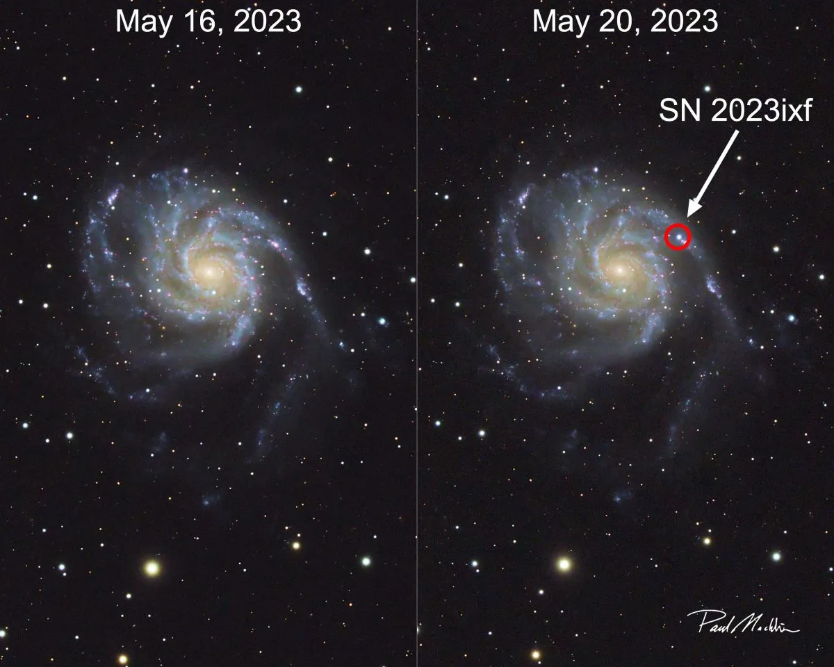 Supernova   M101 in 'before and after' images captured by Paul Jacklin, 16 May and 20 may.